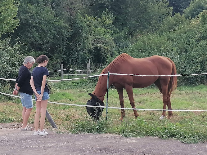 Un Petit Coin De Paradis à Champigny-sur-Veude