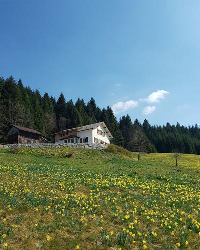 Gîte de la Grangeotte 1 à Xonrupt-Longemer
