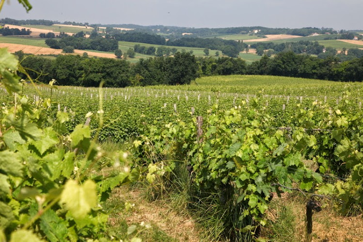 Domaine Séailles à Mouchan