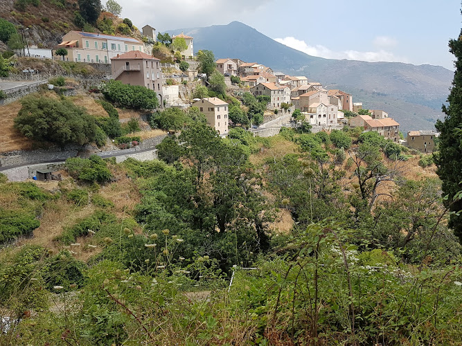 Lento à Lento