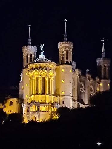 Les Toits de Lyon à Lyon