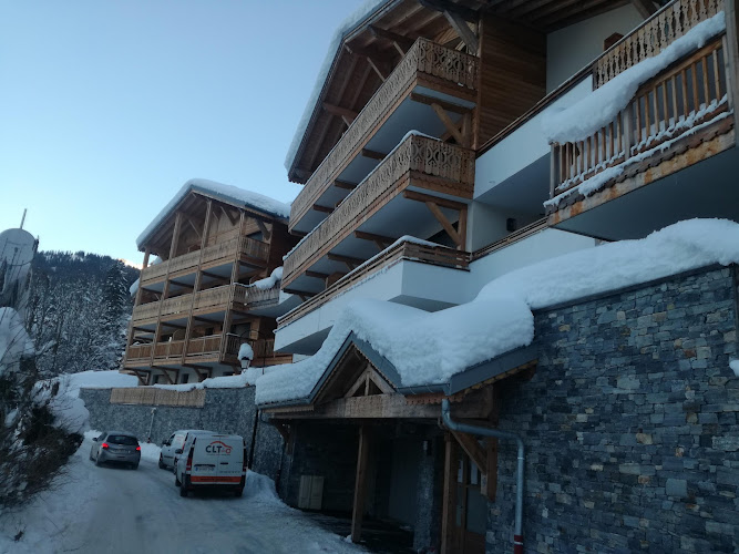 Hôtel L Edelweiss à Chtel