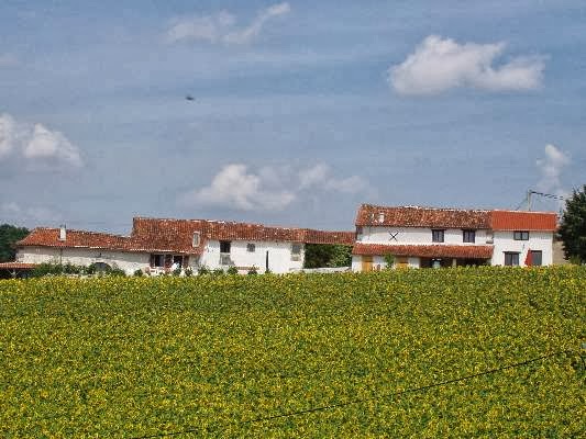 Le Grand Vignaud Gites à Boisné-la-Tude
