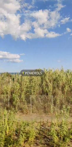 Pomérols à Pomérols