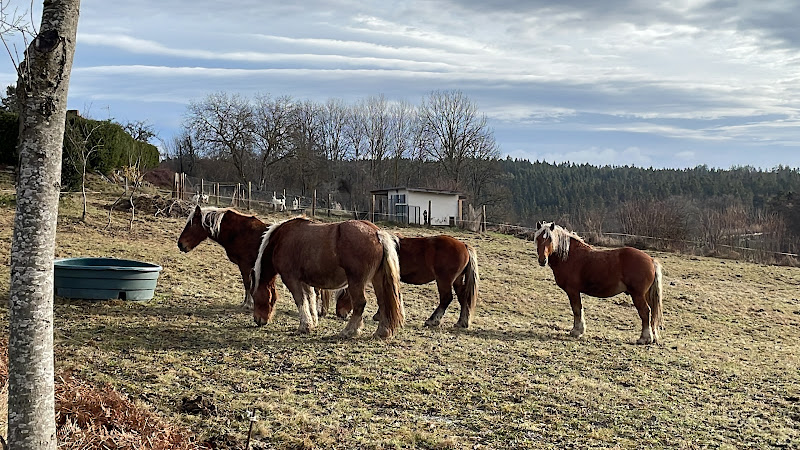 LE 46 allotjament à Saint-Sauveur-la-Sagne