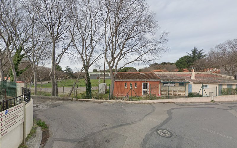 Camping Municipal Le Vivier à Laroque-des-Albères
