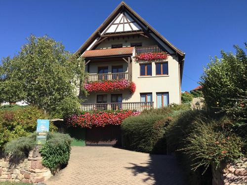 Au Pied des Vignes à Rosenwiller