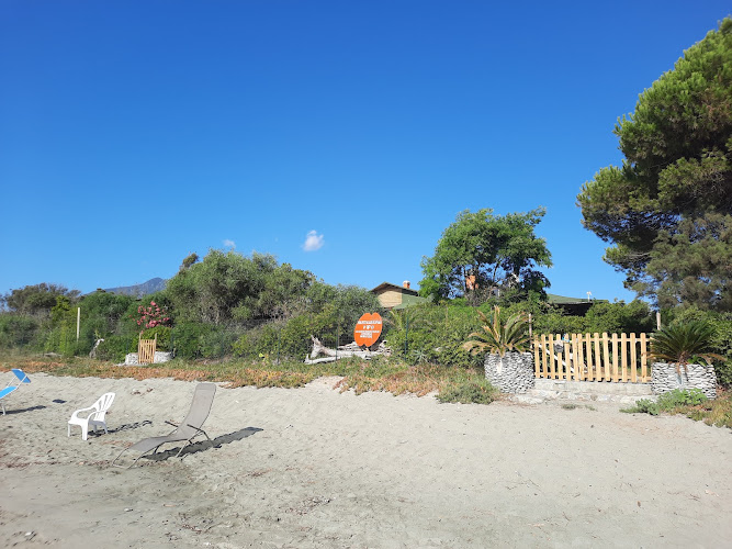Lavidanella à Santa-Lucia-di-Moriani