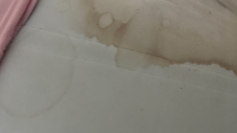 L éphémèrde chambre d hôte à Marseille