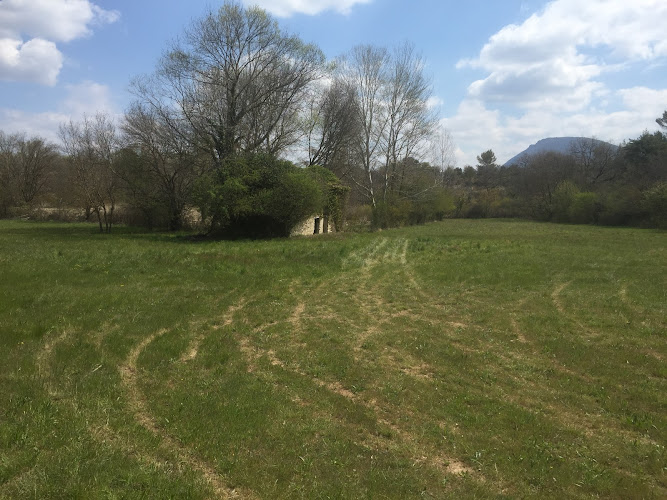 La Jonche à Mollans-sur-Ouvèze