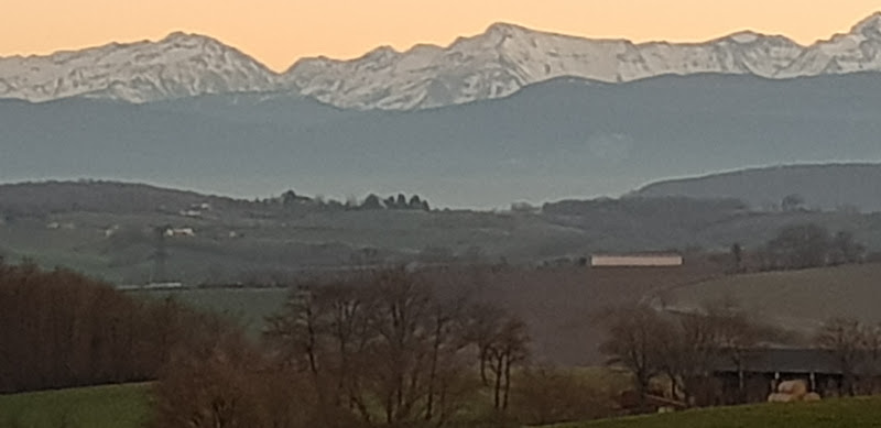 Escanecrabe