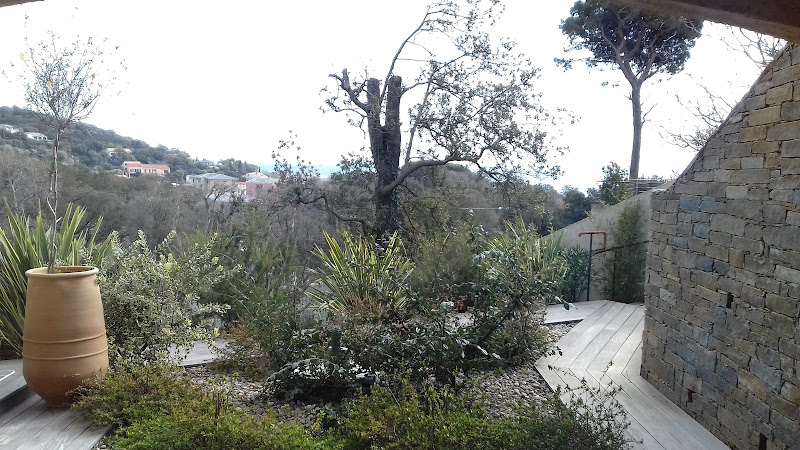 Suites In Erbalunga à Brando