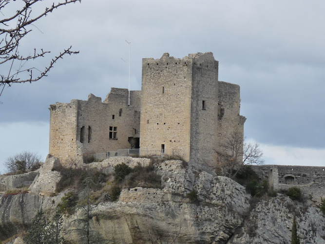 Les Tamaris à Vaison-la-Romaine