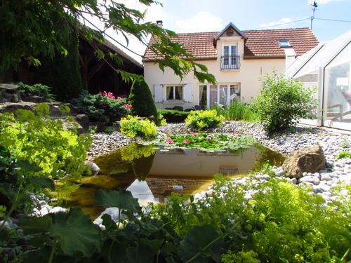 Le tulipier à Beuvraignes