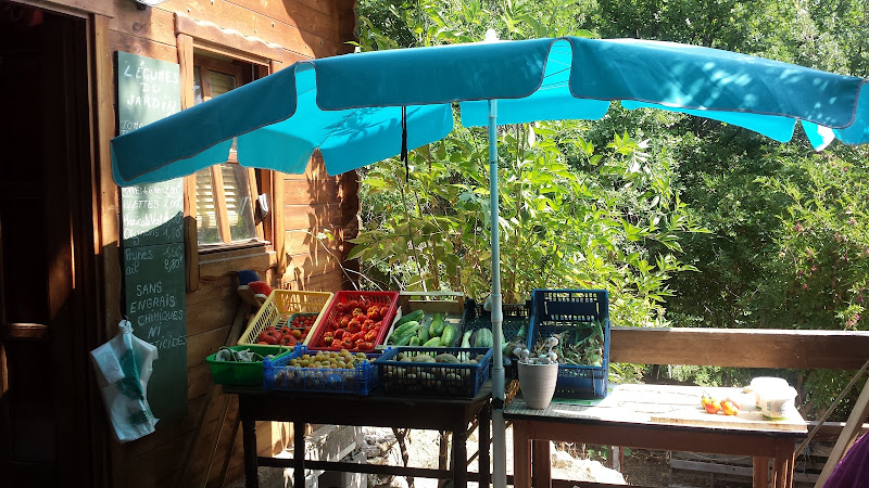 Camping U Pignottu à Avapessa