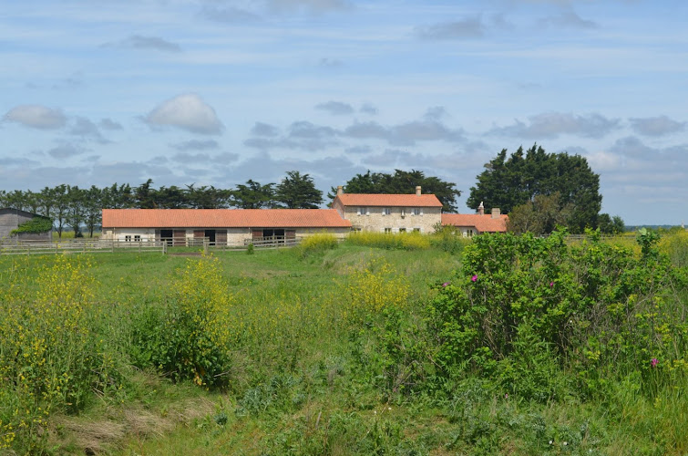 Le Gîte des Ecuries de Boileau à Bouin