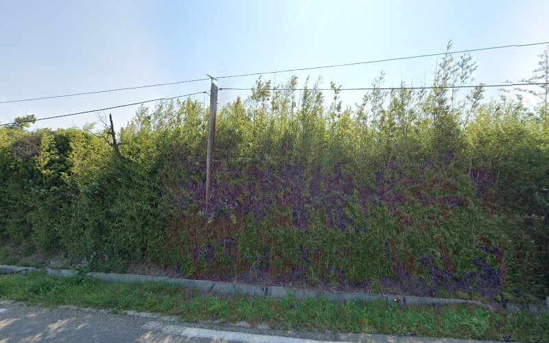 Mas Du Jardin à Eygalières