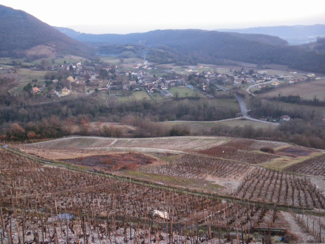 Gite Grivet à Briord