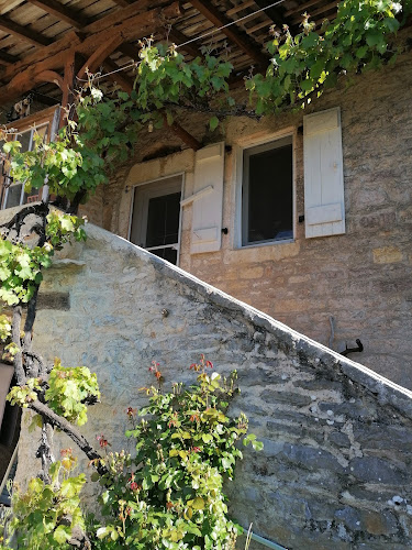 Les Orchidées à Mouillac
