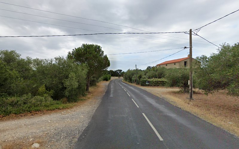ChouxCamp à Argelès-sur-Mer
