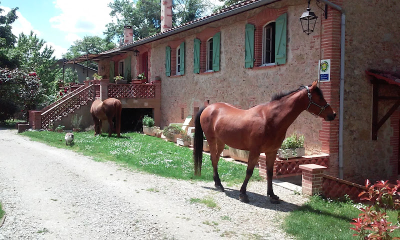 Chez Ginou à Lavaur