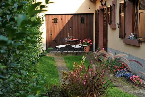 Le Vieux Tilleul à Bergheim