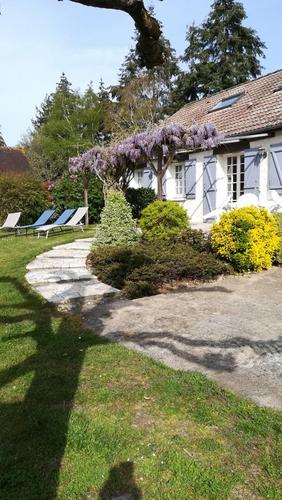 Les Glycines à Oisly