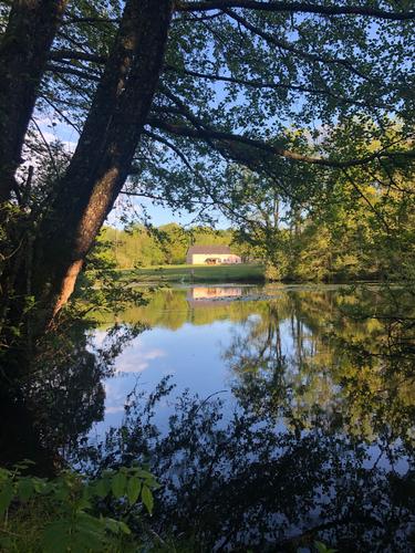 Le Lodge du Petit Rogerin à Parassy