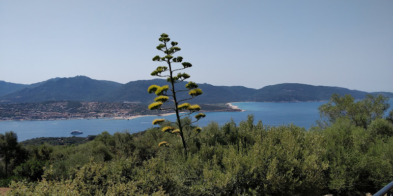Villa A Murta à Olmeto