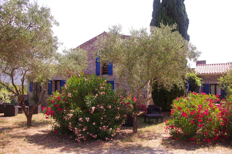 Gîtes et Meublés de tourisme Casa Erbaggio à Sartène