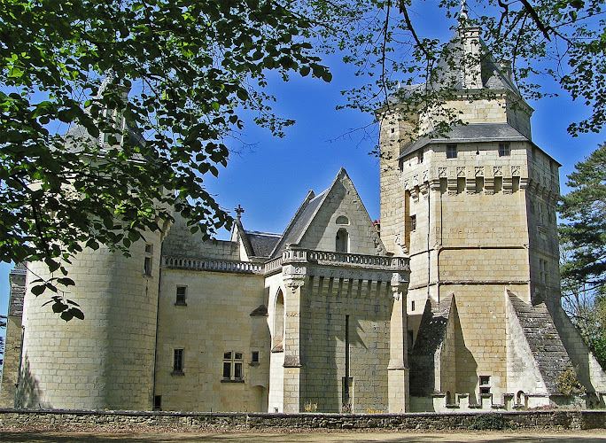 Chteau de Ternay à Ternay