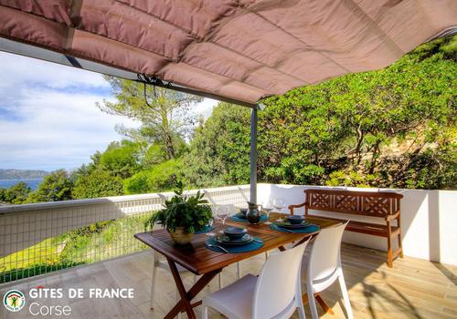 Un jardin bleu à Saint Florent