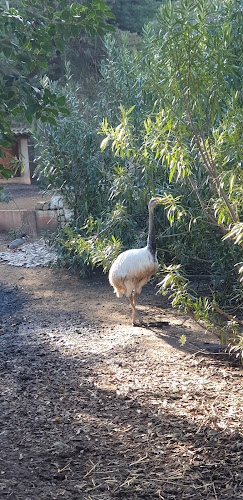 La roulotte à Grasse