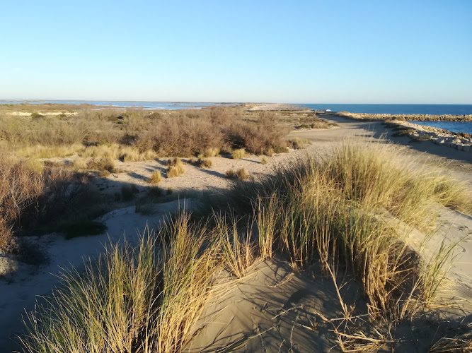 Site naturel protégé Terre Neuve