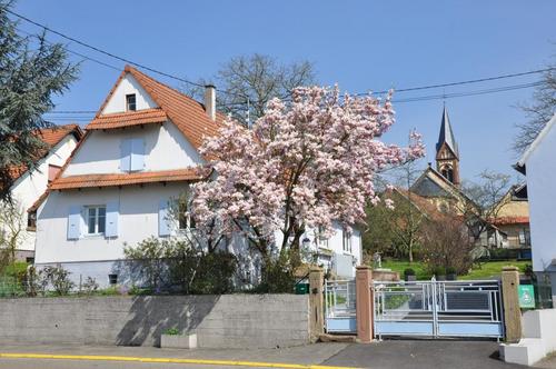 La Maison du Semeur à Kutzenhausen