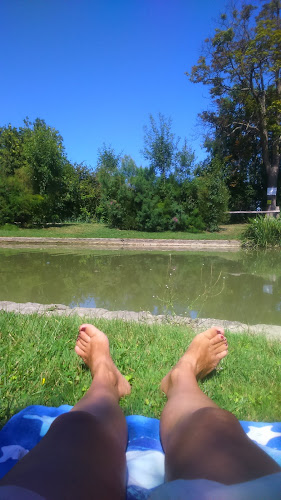 Domaine de La Chasse à Saint-Just-Luzac