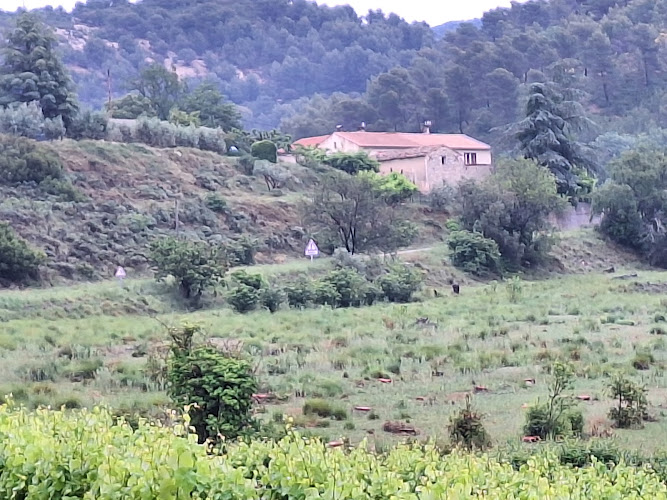 Gîte Le Mûrier à Le Barroux