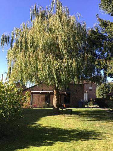 le gîte du Saule à Bermeries