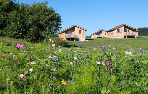 Chalets de Trémontagne à NANCHEZ