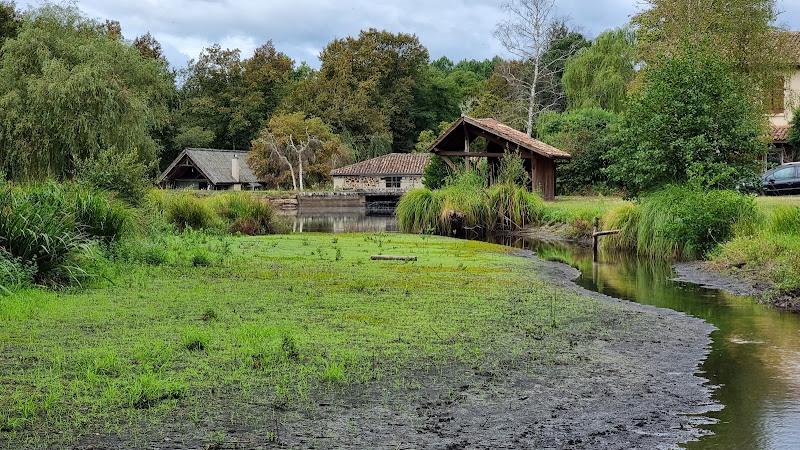 Domaine de l Airial des Monges à Marions