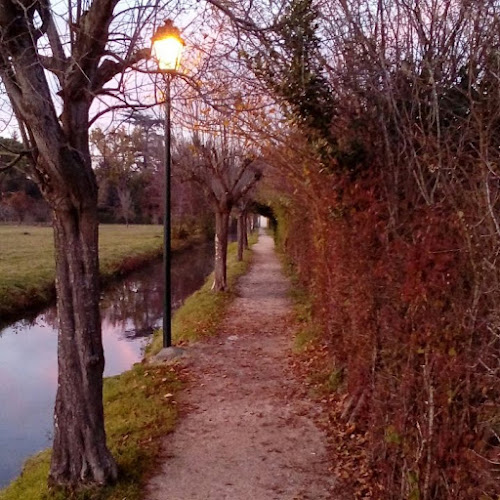 L Isle-en-Dodon