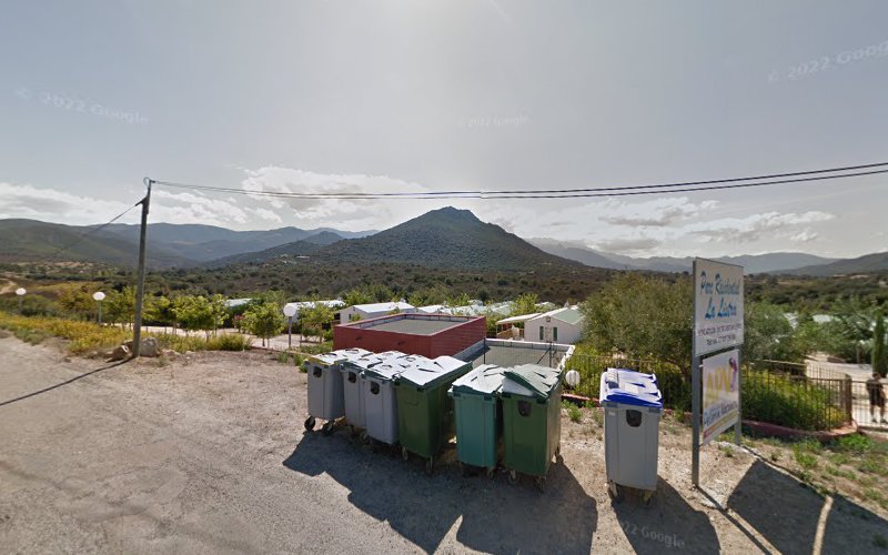 Camping corse à Palasca