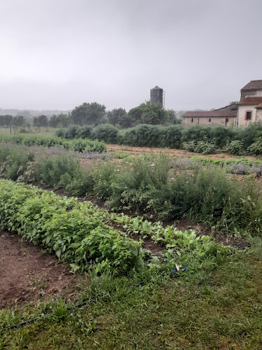 Ferme Brin de Laine Brin de Paille à Sèvremoine