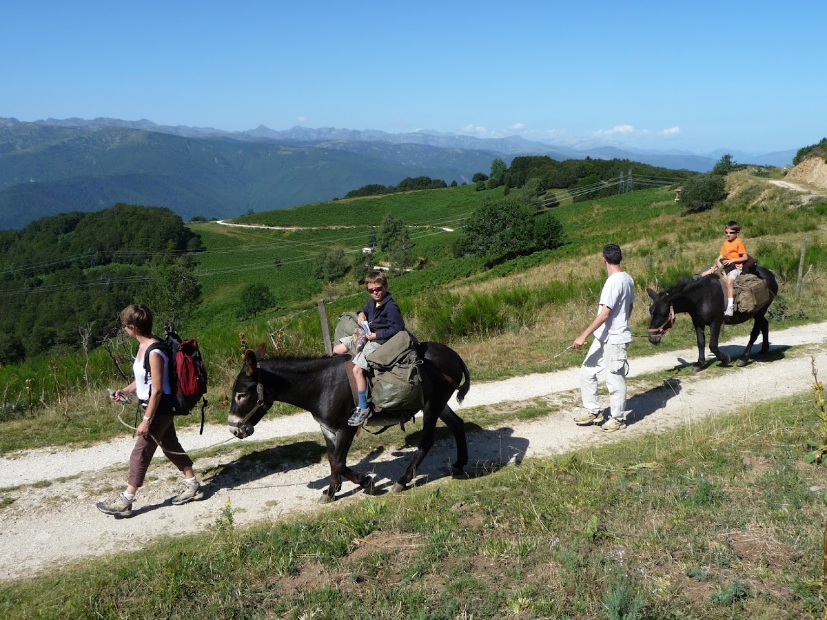 La Ferme aux Anes à Unac