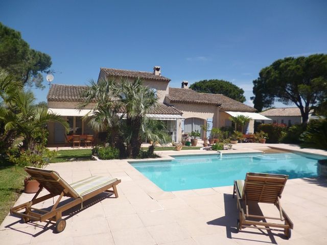 Les Cycas à Fréjus