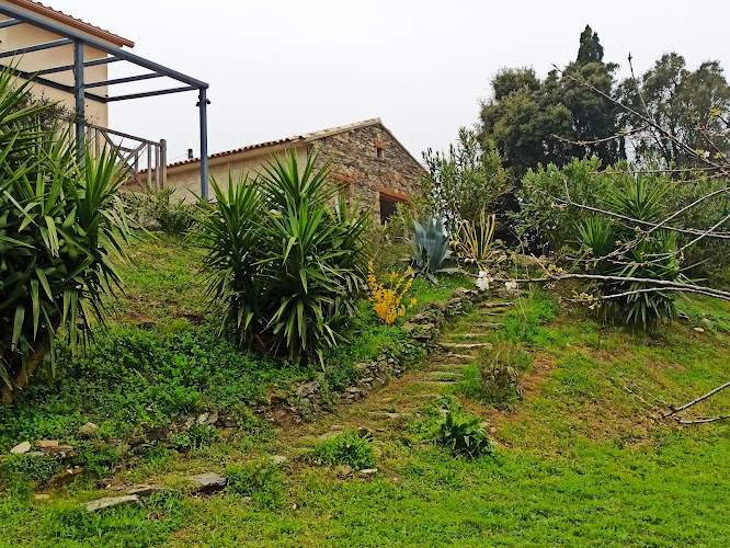 Casa Bonino à Prunelli-di-Fiurmorbo