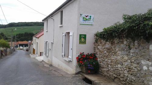 Ru de Fontenay à Festigny
