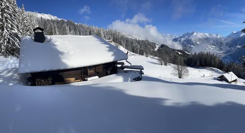 Le Petit Erable - Vue Mont Blanc à Villard Sur Doron