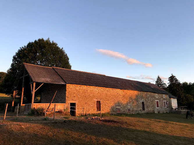 Le Cheval D or à Chteauneuf-la-Fort