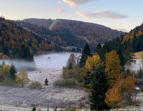 Appartement au ski à La Bresse